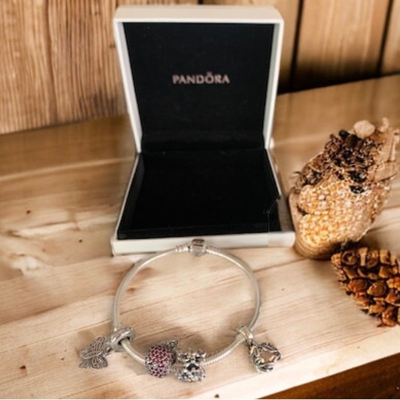 Pandora Snake Chain Silver Bracelet w/ 4 Pandora Charms - Picture 3 of 9